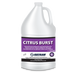 Citrus Burst